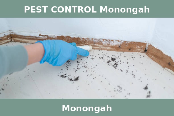 PEST CONTROL Monongah